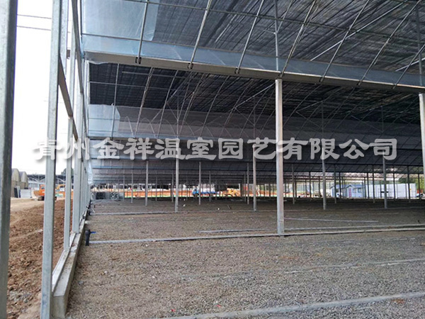 陜西晉中薄膜連棟溫室